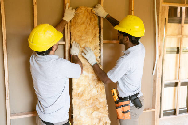 Best Insulation Inspection Services  in Watsontown, PA